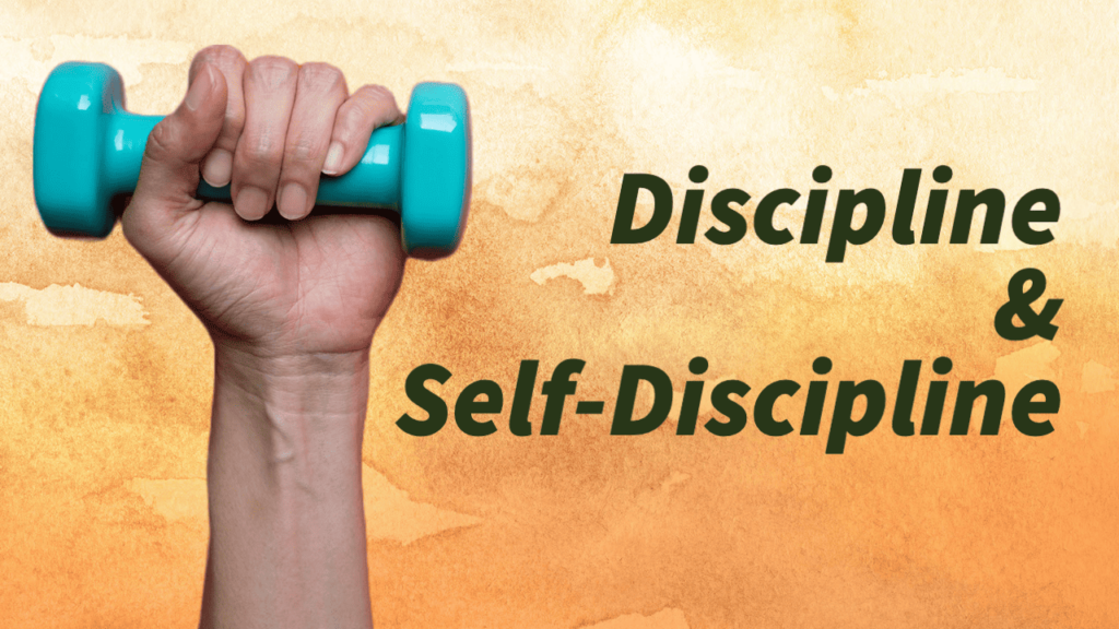 bible verses about discipline